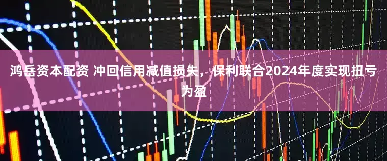 鸿岳资本配资 冲回信用减值损失，保利联合2024年度实现扭亏为盈