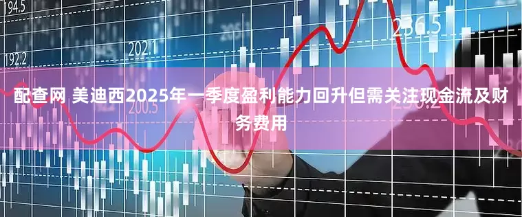 配查网 美迪西2025年一季度盈利能力回升但需关注现金流及财务费用