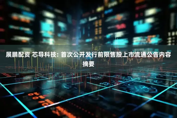 展鵬配资 芯导科技: 首次公开发行前限售股上市流通公告内容摘要