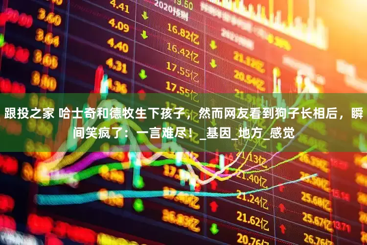 跟投之家 哈士奇和德牧生下孩子，然而网友看到狗子长相后，瞬间笑疯了：一言难尽！_基因_地方_感觉