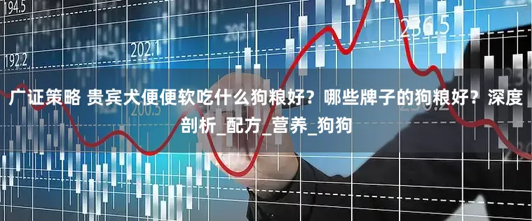 广证策略 贵宾犬便便软吃什么狗粮好？哪些牌子的狗粮好？深度剖析_配方_营养_狗狗