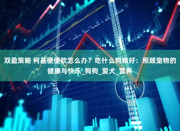 双盈策略 柯基便便软怎么办？吃什么狗粮好：照顾宠物的健康与快乐_狗狗_爱犬_营养