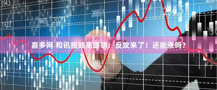 嘉多网 和讯投顾高璐明：反攻来了！还能涨吗？