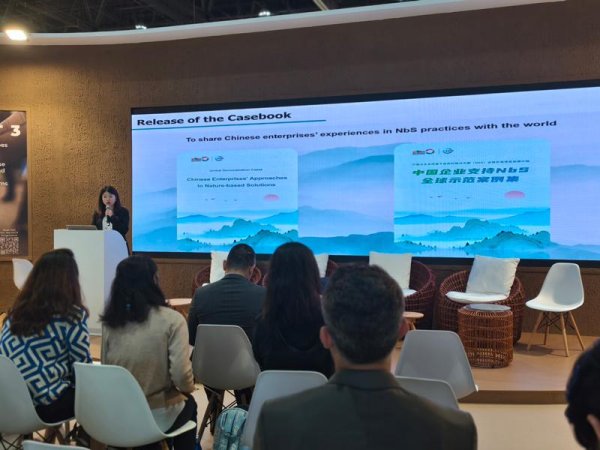 大旗策略 国网衢州供电公司履责案例亮相第八届世界自然保护大会