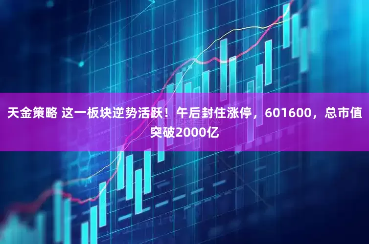 天金策略 这一板块逆势活跃！午后封住涨停，601600，总市值突破2000亿